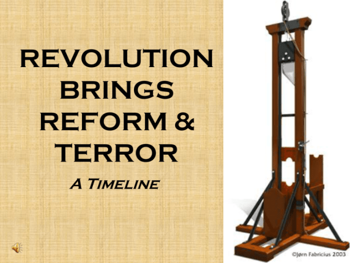 Revolution brings reform and terror
