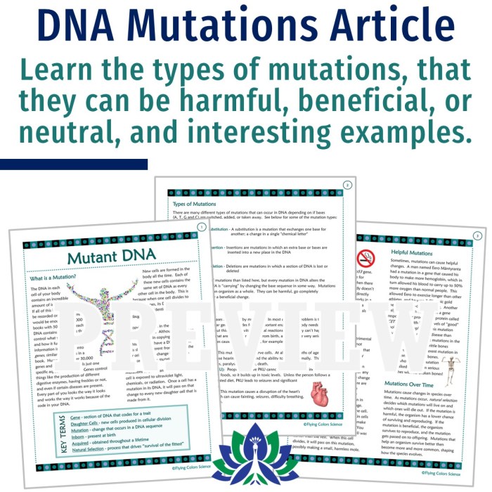 Mutations activity worksheet answer key