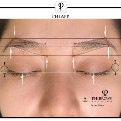 Step by step brow mapping diagram