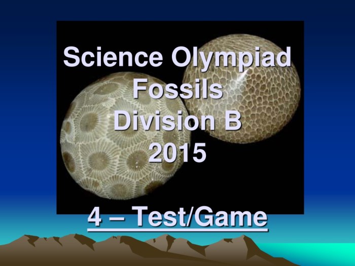 Fossils science olympiad practice test