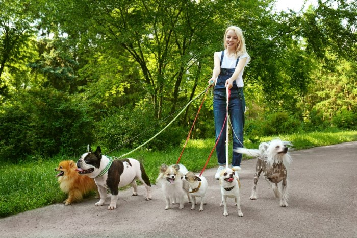 Why is this dog walking job so important to amal